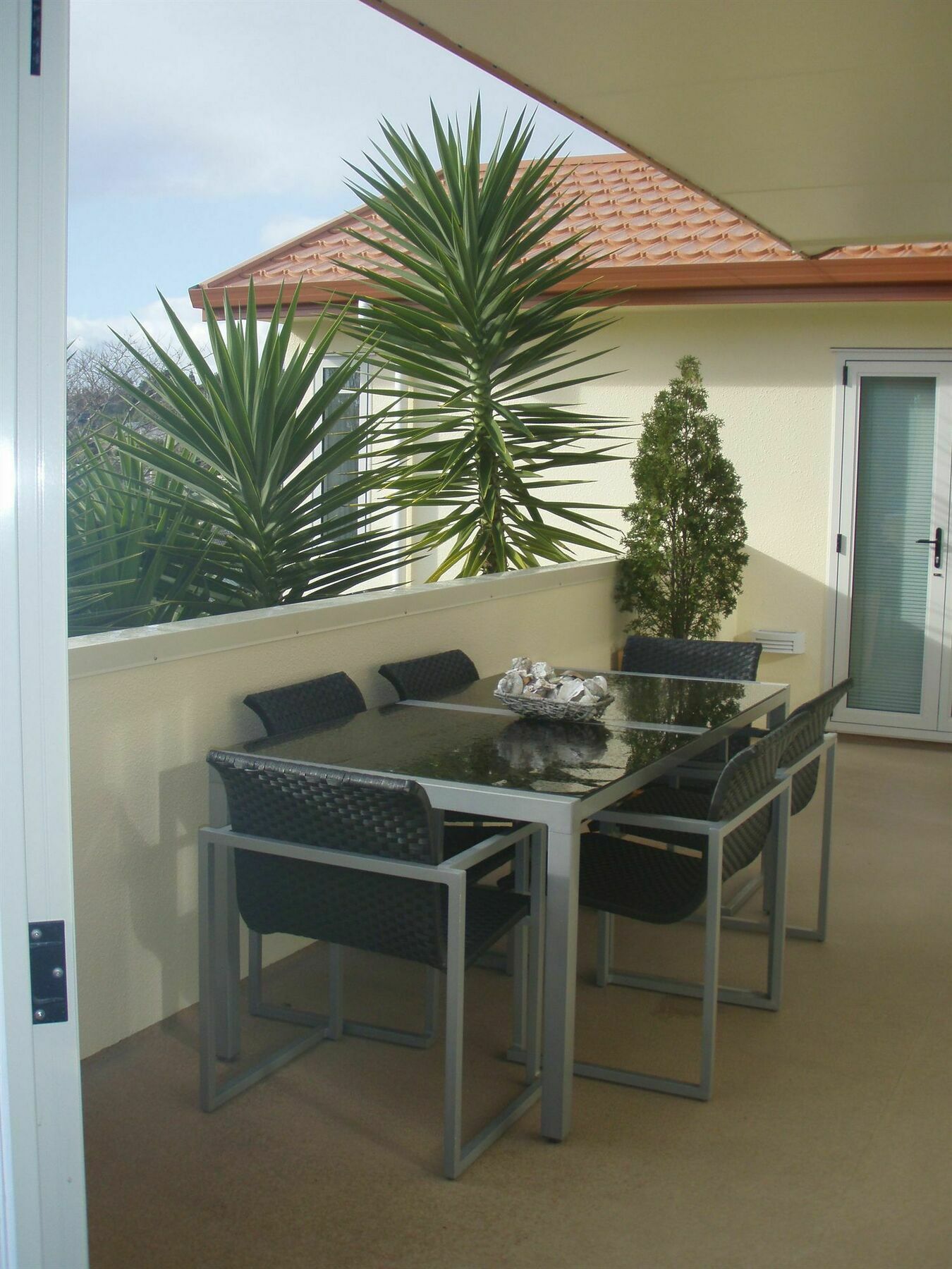 Seascape Villa B&B 타우랑가 외부 사진